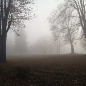 Kentucky is pretty. So you agree? You think it's really pretty?
