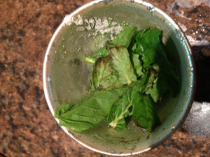 That cup is full of mint, okay? 
