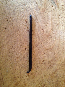 Behold: The Vanilla Bean, creator of Vanilla Extract.