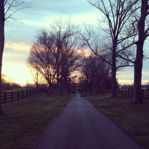 Kentucky, mid-spring.