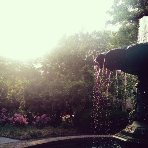 A Charleston pocket park.